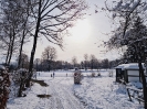 Winter_10