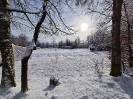 Winter_4