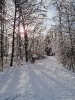 Winter_6