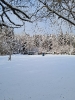 Winter_7