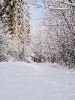 Winter_8